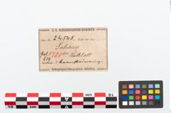 Etikett zu Bernsteinring (NHMW-PRAE-024548)